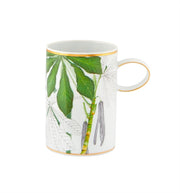 Amazónia - Caneca