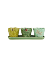 Conjunto Vasos Jardim de Insetos