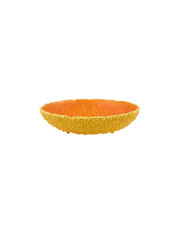 Fruteira Amazónia