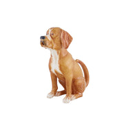 Jarro Cão Perdigueiro