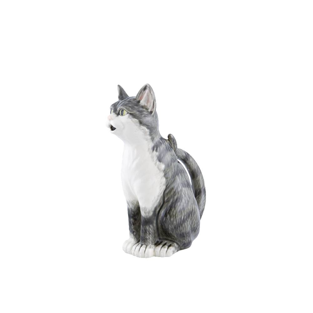 Jarro Gato