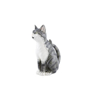 Jarro Gato