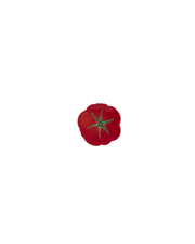Prato Pão Tomate