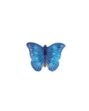 Vide Poche Cloudy Butterflies